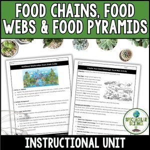 Food Chains, Food Webs & Food Pyramids Unit 1