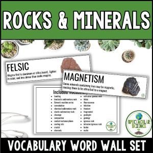Rocks & Minerals Vocabulary Word Wall Set 1