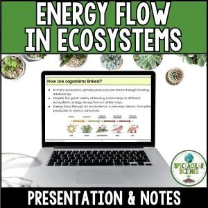 Energy Flow in Ecosystems Presentation & Notes 1