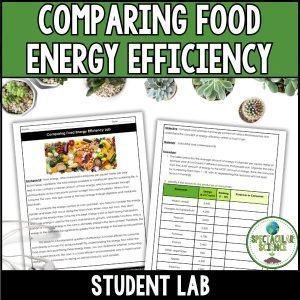 Comparing Food Energy Efficiency Lab 1