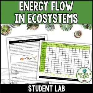 Energy Flow in Ecosystems Lab 1