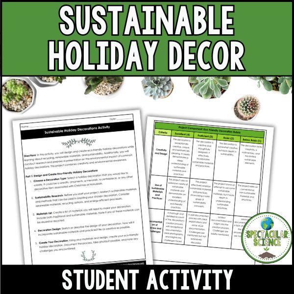 Sustainable Holiday Decorations Activity Cover