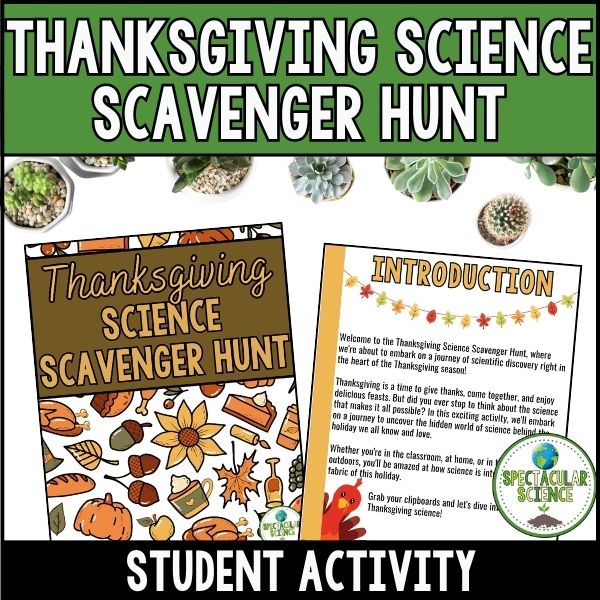 Thanksgiving Science Scavenger Hunt Activity 1