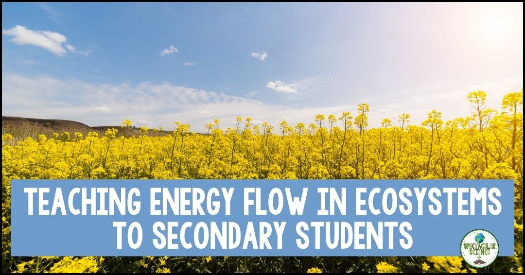 Teaching Energy Flow in Ecosystems to Secondary Students