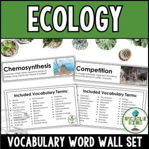 Ecology Vocabulary Word Wall Set 1