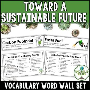 Toward A Sustainable Future Vocabulary Word Wall Set 1