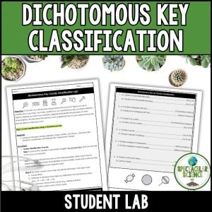 Dichotomous Key Candy Classification Lab 1