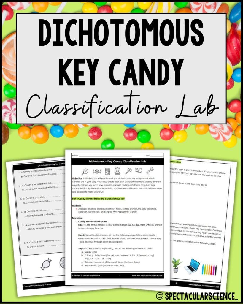 Dichotomous Key Candy Classification Lab Social Media