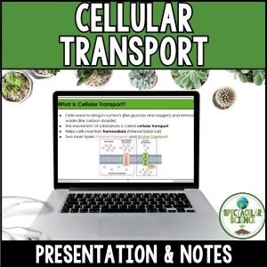 Cellular Transport Presentation & Notes 1