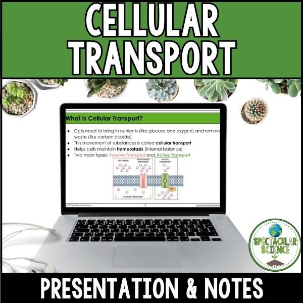 Cellular Transport Presentation & Notes 1