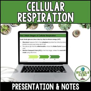 Cellular Respiration Presentation & Notes 1