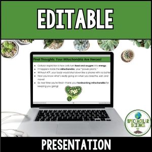Cellular Respiration Presentation & Notes