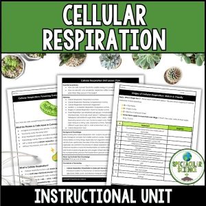 Cellular Respiration Unit 1