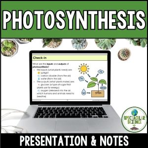 Photosynthesis Presentation & Notes 1