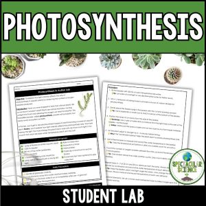 Photosynthesis Lab 1