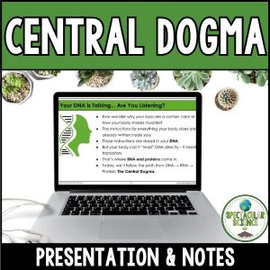 Central Dogma Presentation & Notes 1