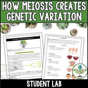 How Meiosis Creates Genetic Variation Lab 1