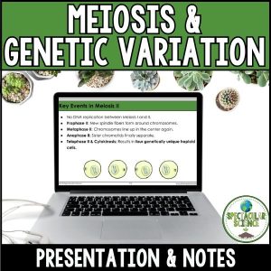 Meiosis & Genetic Variation Presentation & Notes 1