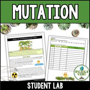 Mutation Lab 1