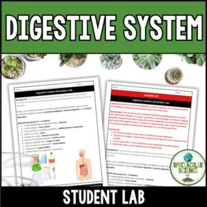 Digestive System Simulation Lab 1