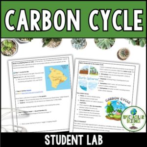 Exploring the Carbon Cycle Lab 1