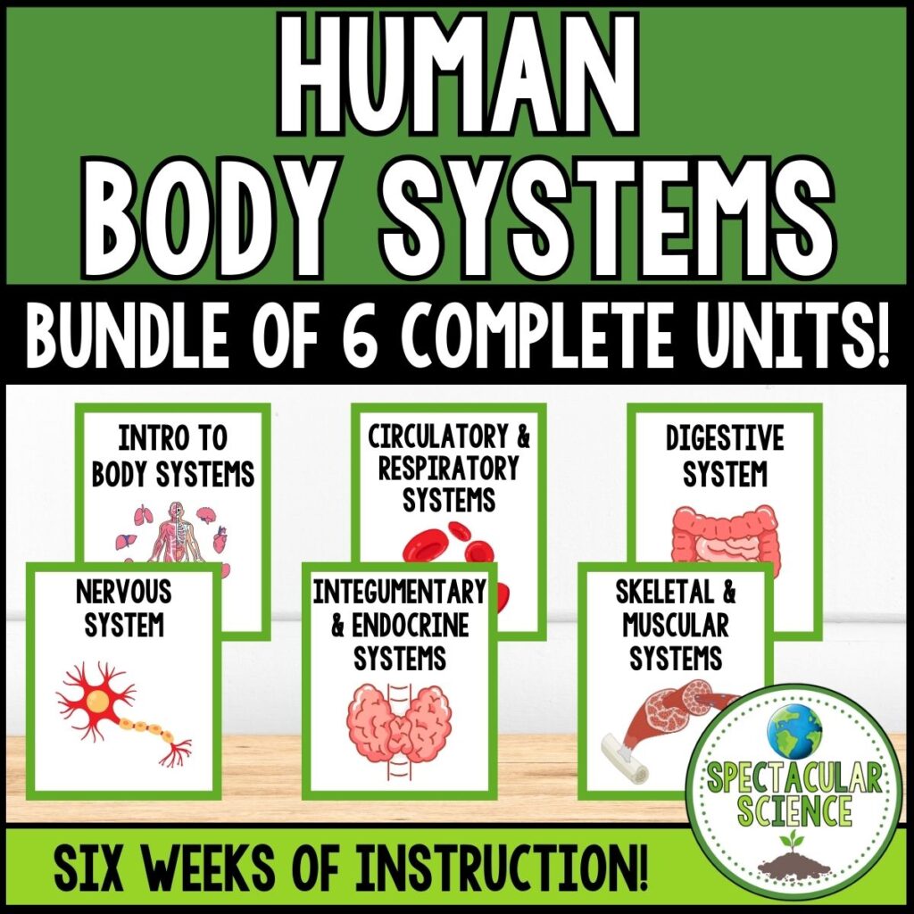 Human Body Systems Unit Bundle 1