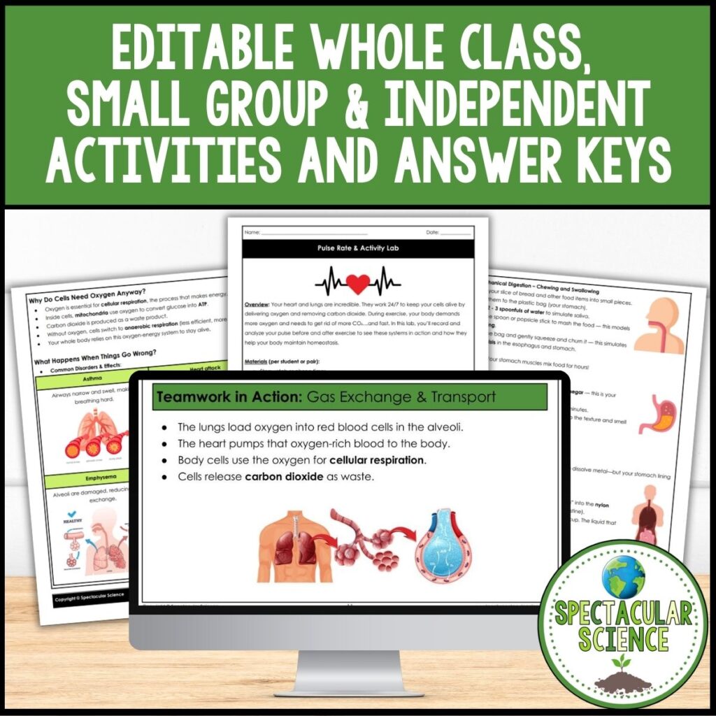 Human Body Systems Unit Bundle 3