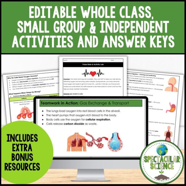 Human Body Systems Unit Bundle - Anatomy, Biology, Worksheets ...