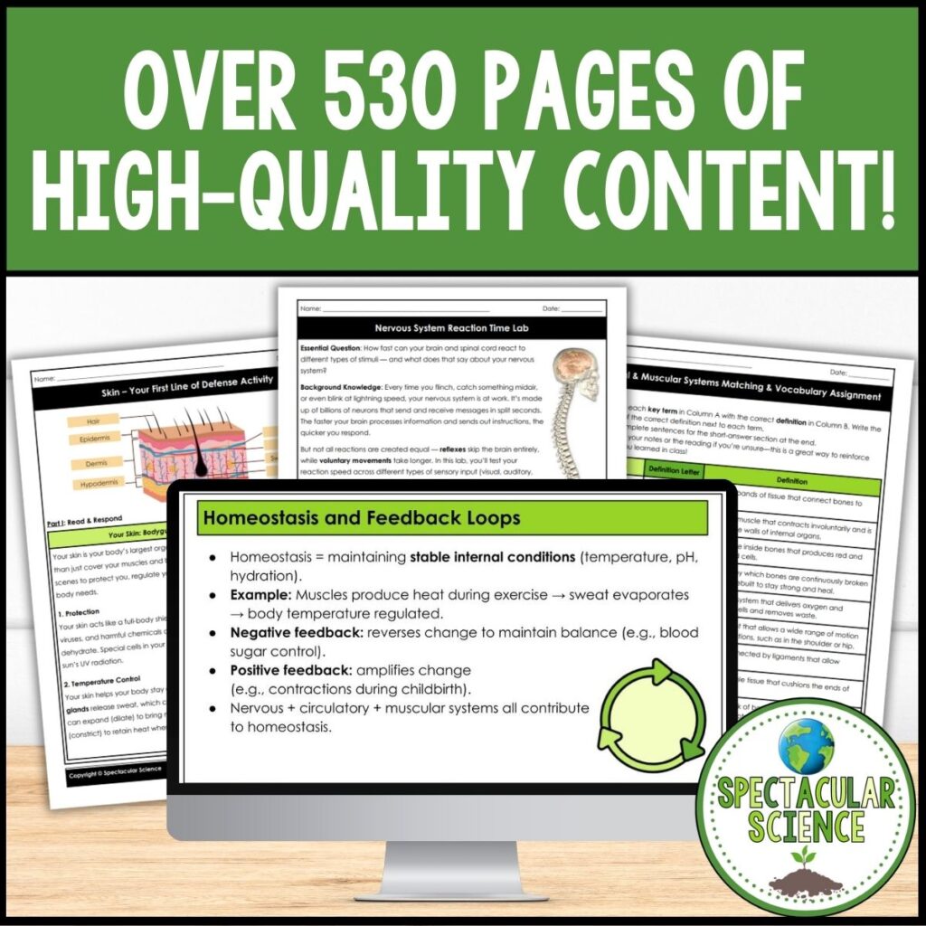 Human Body Systems Unit Bundle 4