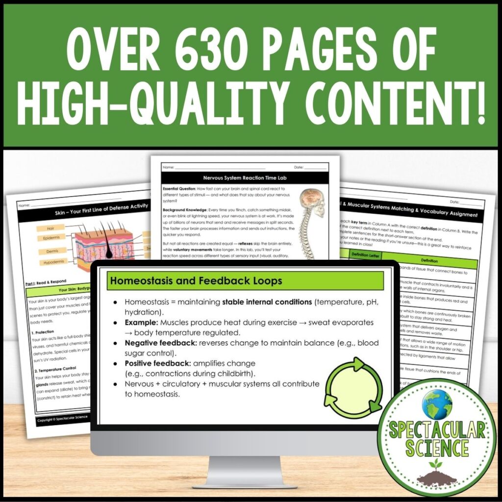 Human Body Systems Unit Bundle 4