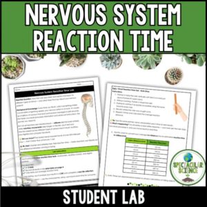 Nervous System Reaction Time Lab 1