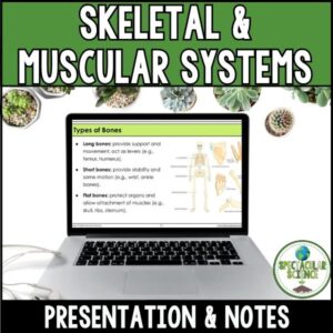 Skeletal & Muscular Systems Presentation & Notes 1