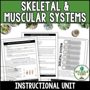 Skeletal & Muscular Systems Unit 1