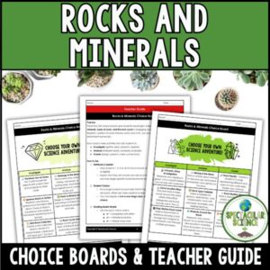 Rocks and Minerals Choice Boards Student Activity Worksheets Cover