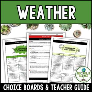 Weather Choice Boards Student Activity Worksheets Cover