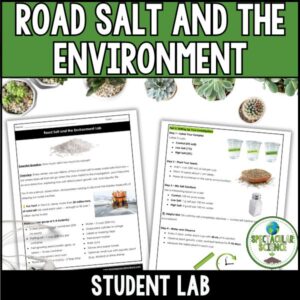 Road Salt and the Environment Lab 1