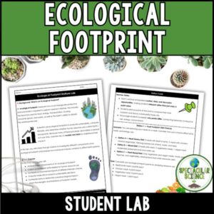 Ecological Footprint Stations Lab 1