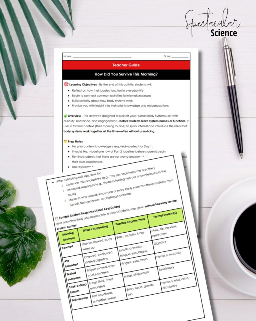 How Did You Survive This Morning