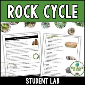 Rock Cycle Cookie Factory Lab 1