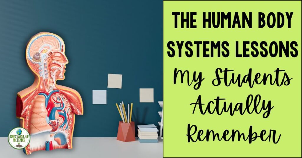 The Human Body Systems Lessons My Students Actually Remember