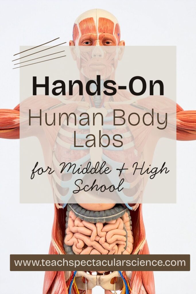 The Human Body Systems Lessons My Students Actually Remember Pin