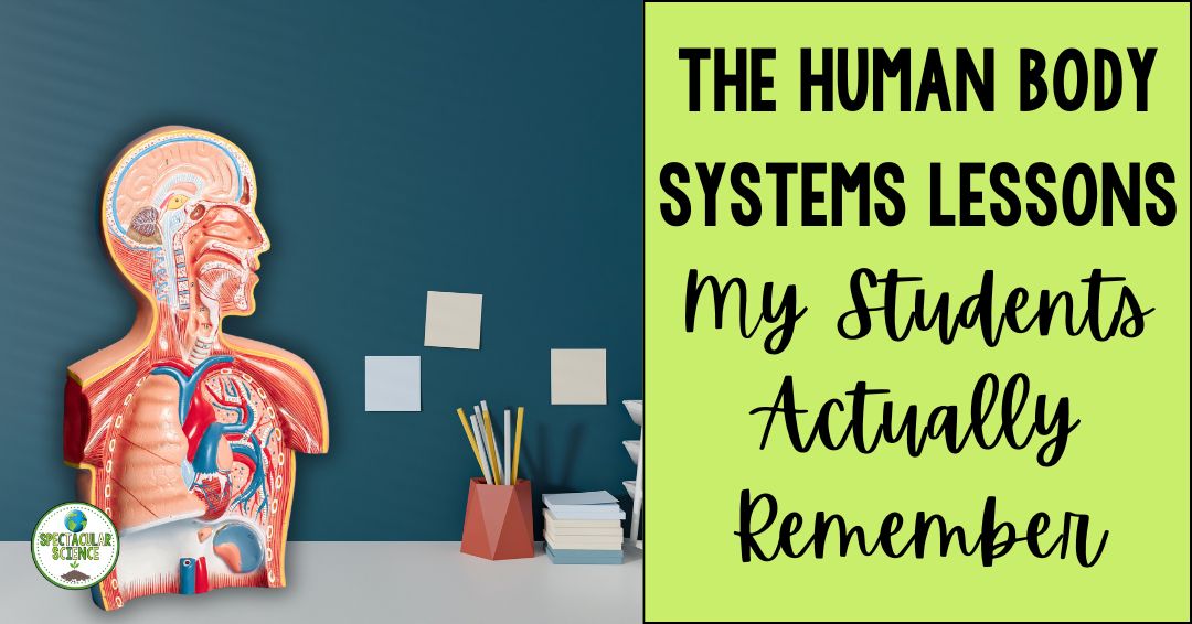 The Human Body Systems Lessons My Students Actually Remember