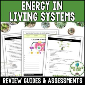 Energy in Living Systems Review & Assessments 1