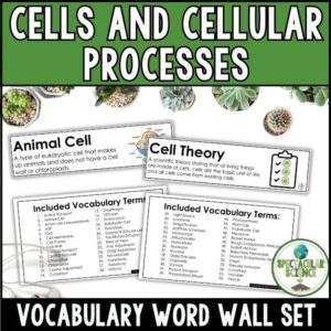 Cells and Cellular Processes Vocabulary Word Wall Set Cover 1