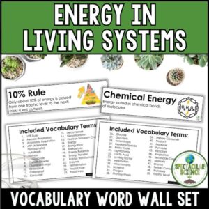 Energy in Living Systems Vocabulary Word Wall Set Cover 1