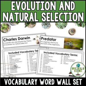 Evolution and Natural Selection Vocabulary Word Wall Set Cover 1