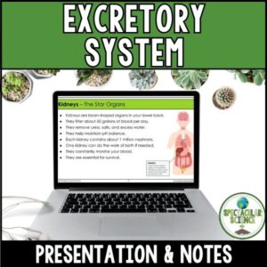 Excretory System Presentation & Notes 1