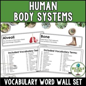 Human Body Systems Vocabulary Word Wall Set Cover 1