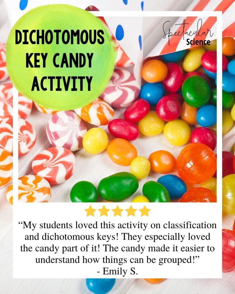 Candy Dichotomous Key Lab Social Media