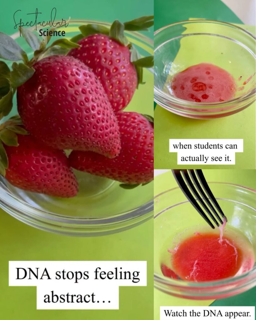 Strawberry DNA Extraction Lab Social Media